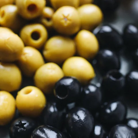  Zeytin Çeşitleri ve Özellikleri